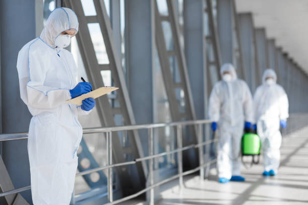 Best Emergency Mold Remediation  in San Jacinto, CA