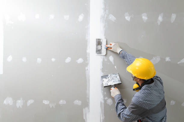 Best Water Damage & Mold Remediation  in San Jacinto, CA